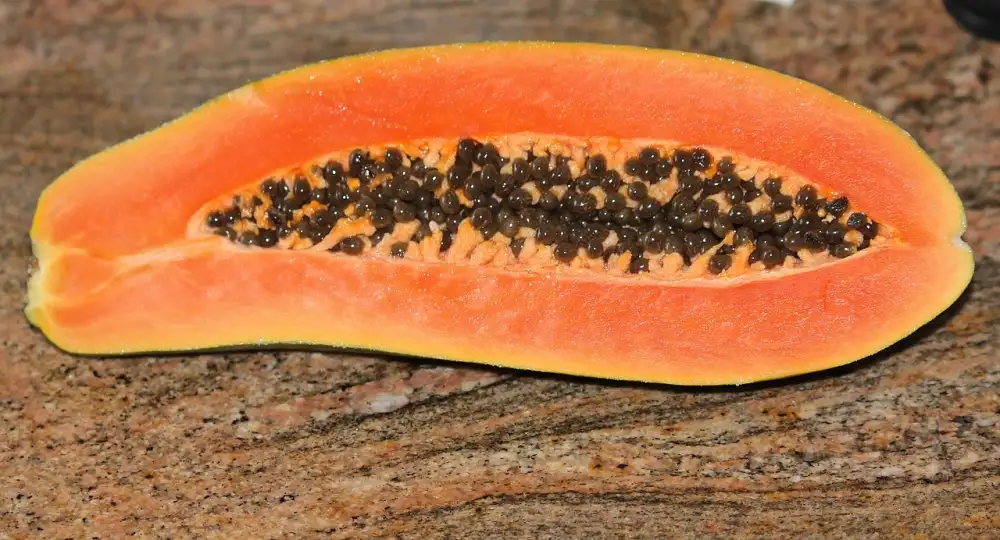 Pawpaw Fruit