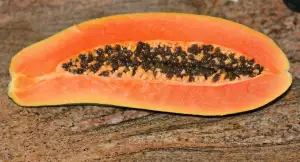 Pawpaw Fruit